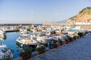 Kilka łodzi zakotwiczyło w porcie. w obiekcie SEA VIEW Marina di Cassano w mieście Piano di Sorrento