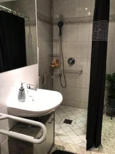 ein Bad mit einem Waschbecken und einer Dusche mit einer Dusche in der Unterkunft Apartment „La Casa de Papel“ / Behindertengerecht in Leipzig