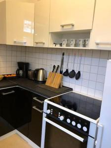 eine Küche mit einem Herd mit Backofen in der Unterkunft Apartment „La Casa de Papel“ / Behindertengerecht in Leipzig