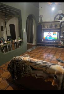 una sala de estar con TV con una serpiente en el suelo en Hostel Guirlanda, en Río de Janeiro