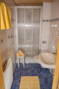 y baño con ducha, lavabo y aseo. en Pension Schmiderer - Vorderkasbichlhof, en Saalfelden am Steinernen Meer