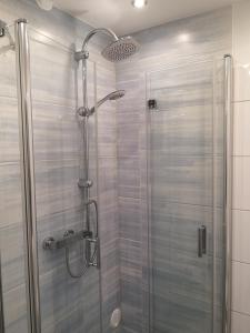 a shower with a glass door in a bathroom at Liebevoll hinterm Deich - Ferienwohnungen in Lehe