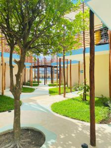 a walkway with trees in front of a building at LUNA AZUL BY UVAS in Cozumel