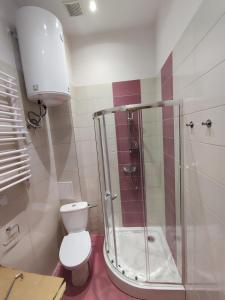 W łazience znajduje się toaleta i przeszklony prysznic. w obiekcie Nikifour, apartament nad deptakiem w mieście Krynica Zdrój