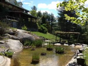 a pond in a garden with plants in the water at Adirondack Cottage Retreat in Elizabethtown
