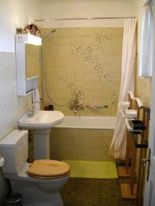 Zimmer Solothurn Doppelbett في لوترباخ: حمام مع مرحاض ومغسلة وحوض استحمام