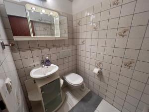un baño con inodoro y lavabo en Ferienwohnung am See, Überlingen, en Überlingen 7 fotos más