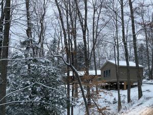 een kleine hut in het bos in de sneeuw bij The Country Cottage by On Cue Properties in Ghent