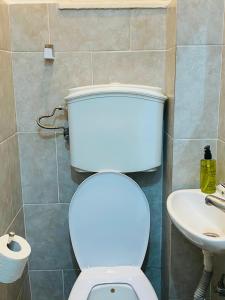 a bathroom with a toilet and a sink at Radisson Charm Studio in Bucharest