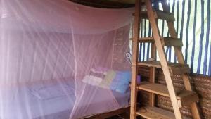 a bunk bed with a ladder in a room at Le A, Trou du Prophète in Mitsamiouli