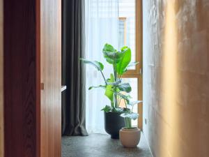 Fotografie z fotogalerie ubytování ArtBau Designhotel v destinaci Waldkirch