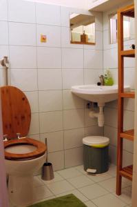 a bathroom with a toilet and a sink at Panorama Prague Castle in Prague