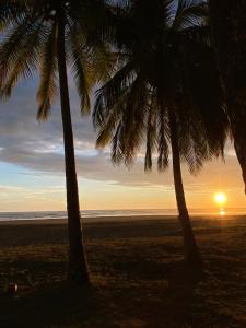 a sunset between two palm trees on a beach at Alma del Pacifico Hotel & Spa in Esterillos Este