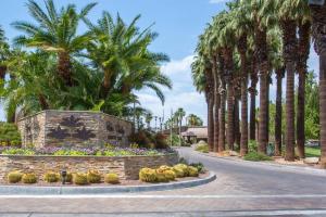 una calle con palmeras y una pared de piedra en Sunny Palm Desert Escape on Golf Course, en Palm Desert