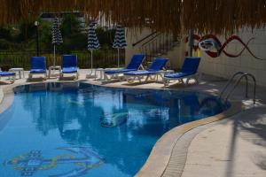 ein Schwimmbecken mit blauen Liegestühlen und ein Schwimmbecken in der Unterkunft Side Boutique Hotel in Side