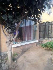 a tree in front of a building with a fence at Un lugar Para Tu Relax in Quillota