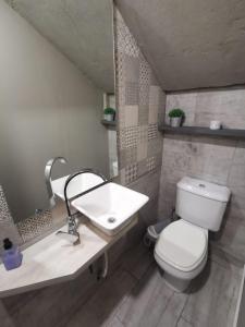 La salle de bains est pourvue de toilettes blanches et d'un lavabo. dans l'établissement Morado, à Luján de Cuyo