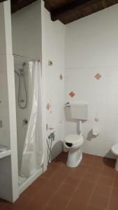 a bathroom with a toilet and a shower at Agriturismo Casalicchio in Cammarata