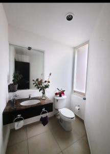 a bathroom with a toilet and a sink and a mirror at Casa Ejecutiva en Gran Jardin in León