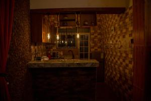 una cocina con fregadero en una habitación oscura en Green Villa Apartments en Kampala