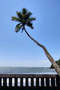 a palm tree leaning over a bench next to the ocean at Adrose Cotttages & Family Restaurant Colva in Colva