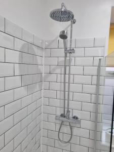 łazienka z prysznicem z głowicą prysznicową w obiekcie Doll Apartment w mieście Montrose