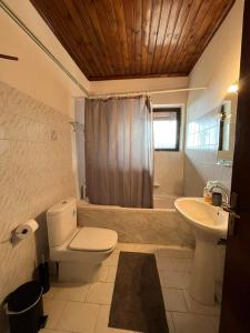 a bathroom with a toilet and a sink and a shower at Ελατόδασος in Pávliani