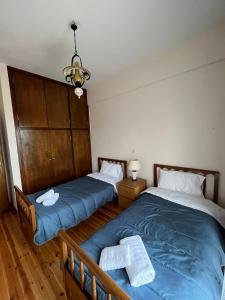 sypialnia z 2 łóżkami i żyrandolem w obiekcie Ελατόδασος w mieście Pavliani