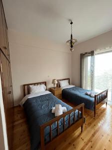 sypialnia z 2 łóżkami i oknem w obiekcie Ελατόδασος w mieście Pavliani