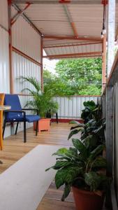 a porch with plants and a blue chair and a table at Arenal Memories. in Fortuna