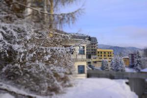 a building in the snow with snow covered trees at Farys - świetna lokalizacja, sauna, jacuzzi, piękne widoki z okien in Krynica Zdrój