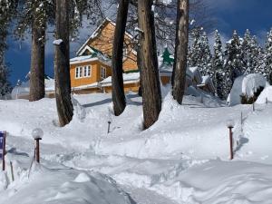 una casa ricoperta di neve con alberi in primo piano di Gulmarg Ski Hill Resort a Gulmarg