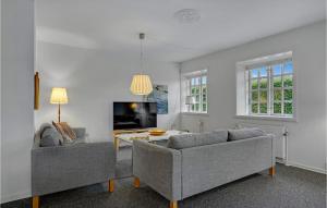 a living room with two couches and a table at Nice Home In Kvrndrup With 6 Bedrooms And Wifi in Kværndrup