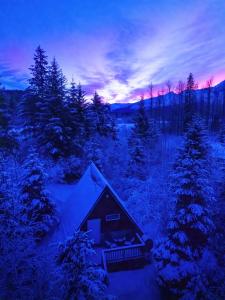 スワードにあるGlacier Creek Cabinsのギャラリーの写真