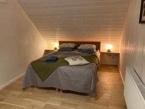 Una cama o camas en una habitación de Lauku māja Akmeņkalni