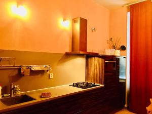 a kitchen with a sink and a counter top at Hotel Room in Praha 2 Square in Prague