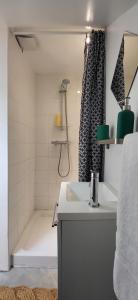 łazienka z umywalką i prysznicem w obiekcie Chambre - Bed & Breakfast - Plage 50m - Résidence w Saint-Malo +9 zdjęć