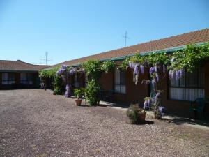 un edificio con flores púrpuras y plantas en él en Birch Motel Tocumwal, en Tocumwal