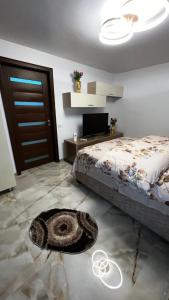 a bedroom with a bed and a rug on the floor at La Carmen 2 ! Apartament 1 camera! in Lupeni +2 photos