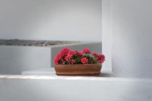 Gallery image of Superior Villa Lino in Skiros