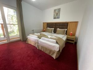a bedroom with a large bed with a red carpet at ШАЛЕТ БЕАТРИС in Razlog