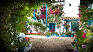 Vonkajšia záhrada v ubytovaní Apartamento Anita's Place Cordoba