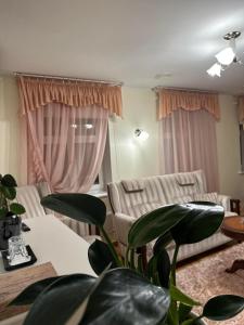 Embrace Hotel & Apartments في بارنو: غرفة معيشة مع أريكة وطاولة مع نبات