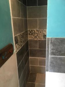 a bathroom with a shower with tiles on the wall at Magnifique studio dans maisonnette in Tourrettes-sur-Loup