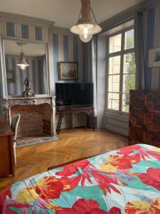 Château du Boulay Morin的电视和/或娱乐中心