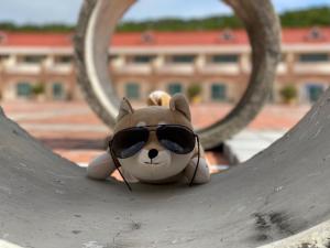 Foto dalla galleria di Howard Kenting Wonder House a Kenting