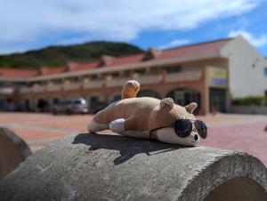 Foto dalla galleria di Howard Kenting Wonder House a Kenting