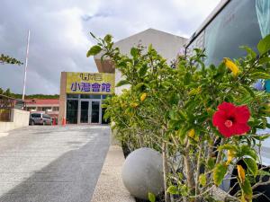 Giardino di Howard Kenting Wonder House