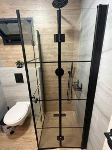 a glass shower with a toilet in a bathroom at Luxury Central Old Town Apartment in Beer Sheva