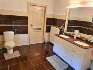 a bathroom with a toilet and two sinks and a mirror at Lucky Vila de Vânătoare in Vîlcele +67 photos